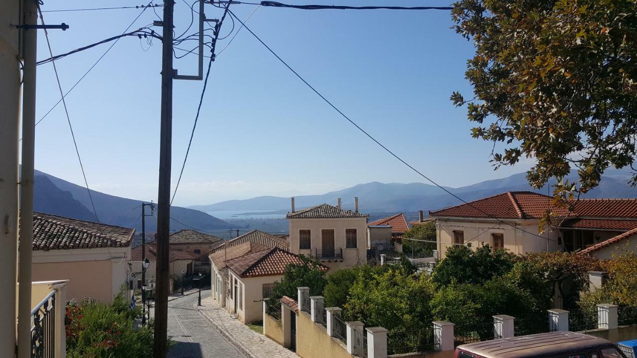 Elia Apartments Chrisso Delphi Luaran gambar